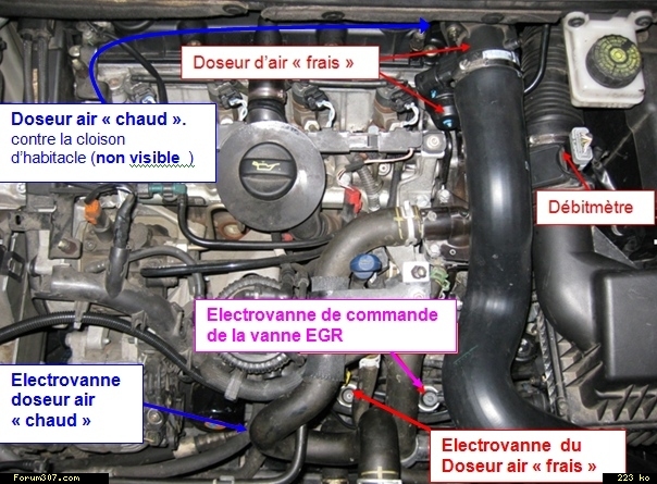 comment demonter vanne egr 307